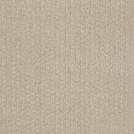 Shaw Floors Value Collections Pacific Trails Net Agate