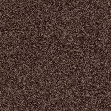 Shaw Floors Value Collections One Over All Net Urban Legend