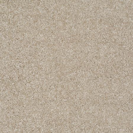 Shaw Floors Value Collections Parlay Net Gallery