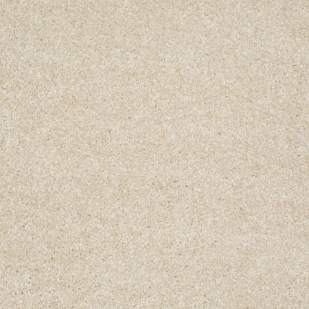 Shaw Floors Value Collections Parlay Net Ivory