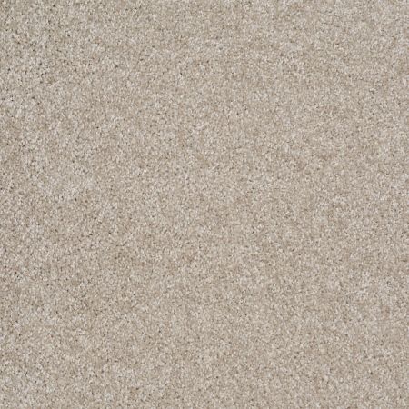 Shaw Floors Value Collections Parlay Net Abalone