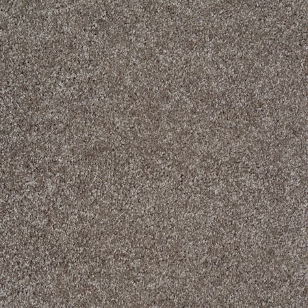 Shaw Floors Value Collections Parlay Net Stone