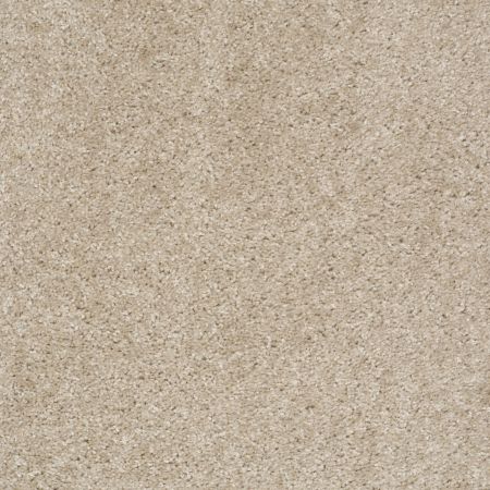 Shaw Floors Value Collections Keep It Real Net Amazing Greige