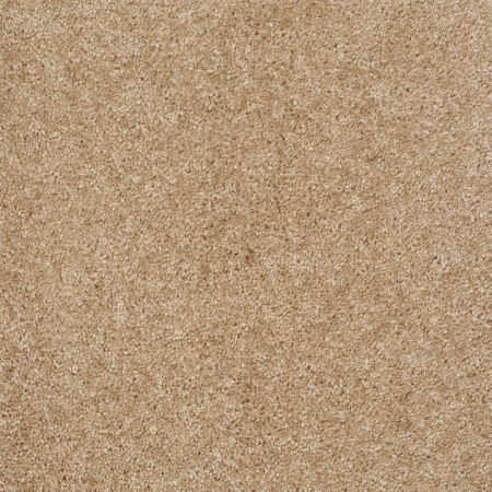 Shaw Floors Value Collections Keep It Real Net Thornwood