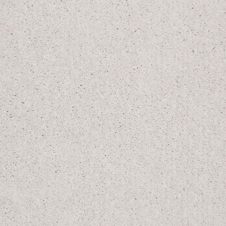 Shaw Floors Value Collections Well Played I 12 Net Fresco