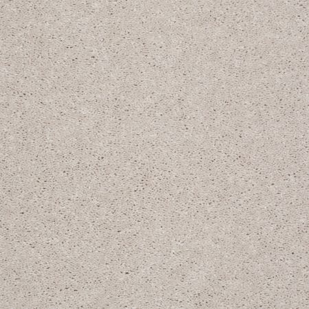 Shaw Floors Value Collections Well Played I 12 Net Agate