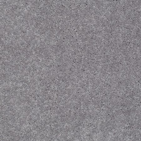 Shaw Floors Value Collections Well Played I 12 Net Thunder