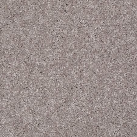 Shaw Floors Value Collections Well Played I 12 Net Mocha Frost