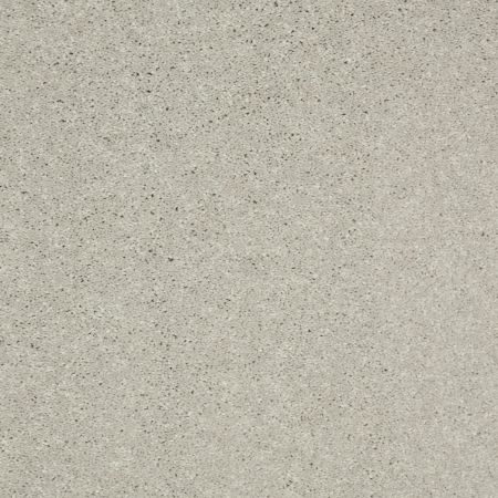 Shaw Floors Value Collections Well Played II 12' Net Sheer Silver