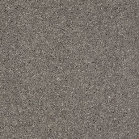 Shaw Floors Value Collections Well Played II 12' Net Thunder