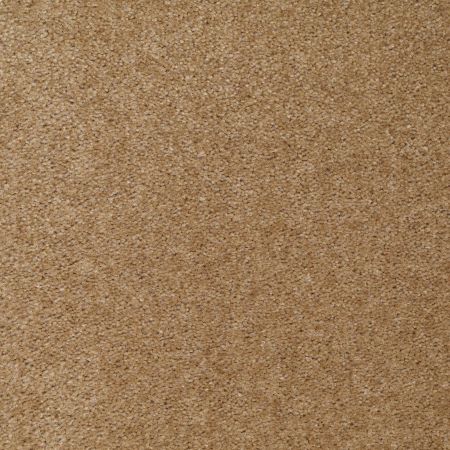 Shaw Floors Value Collections Let's Race Net Mink