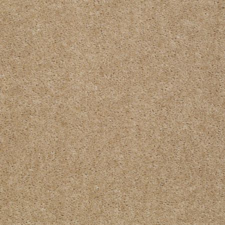 Shaw Floors Value Collections Let's Race Net Pebble Walk