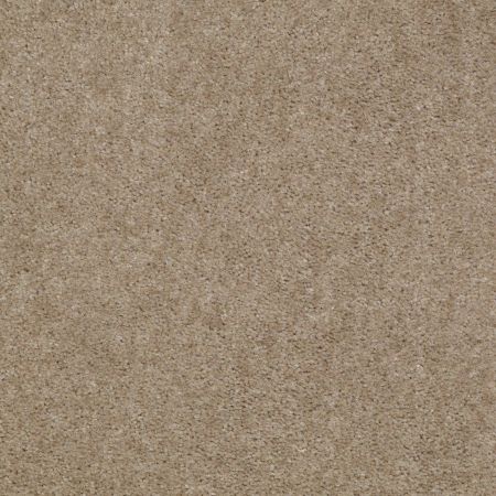 Shaw Floors Value Collections Let's Race Net Creekside