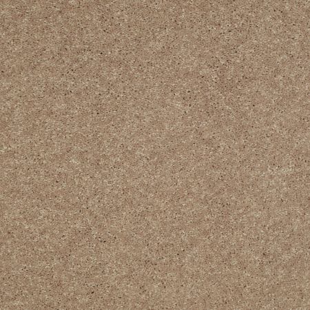 Shaw Floors Value Collections Well Played I 15' Net Honeycomb