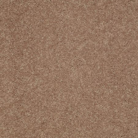 Shaw Floors Value Collections Well Played I 15' Net Pebble Creek