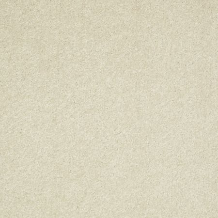 Shaw Floors Value Collections Well Played II 15' Net Creamy Tint