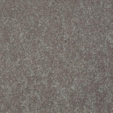 Shaw Floors Value Collections Well Played II 15' Net Mocha Frost