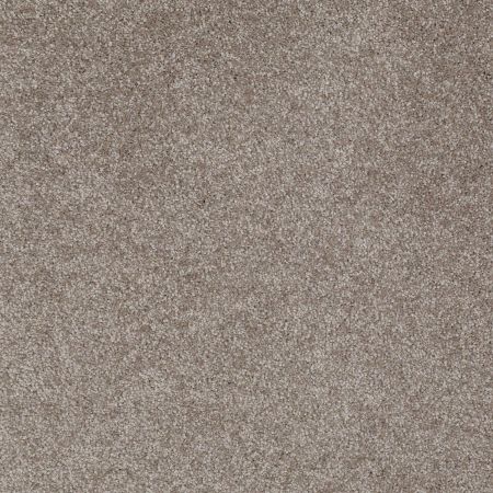 Shaw Floors Laguna Beach Ashen