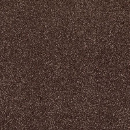 Shaw Floors Laguna Beach Maple