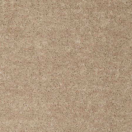 Shaw Floors Value Collections Mayville 12' Net Wild Dune