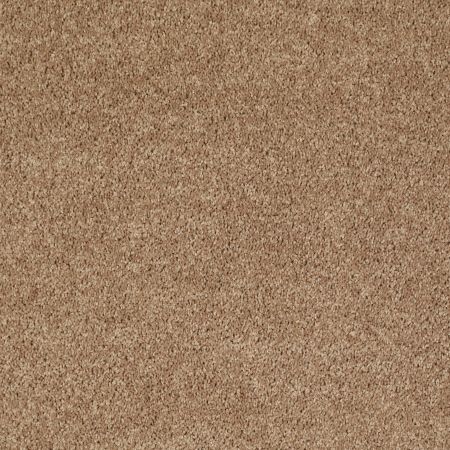 Shaw Floors Value Collections Mayville 12' Net Cider