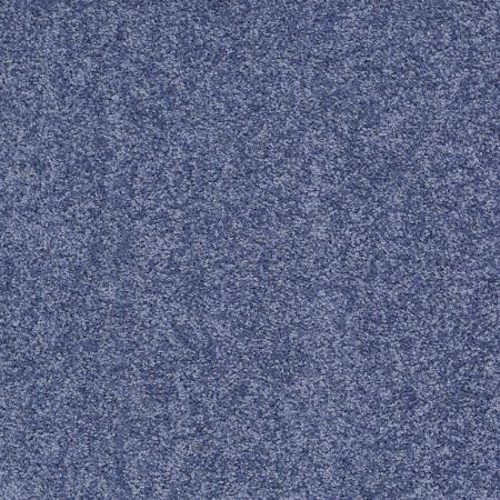 Shaw Floors Value Collections Mayville 12' Net Castaway