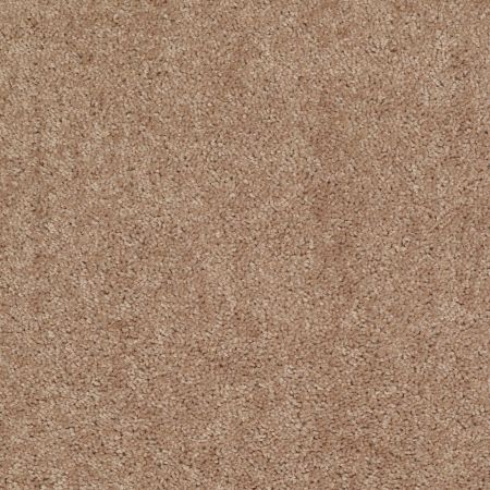 Shaw Floors Value Collections Mayville 12' Net Eagles Nest