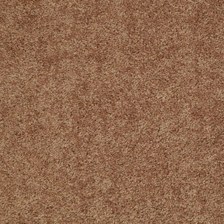 Shaw Floors Value Collections Mayville 12' Net Desert Sunrise