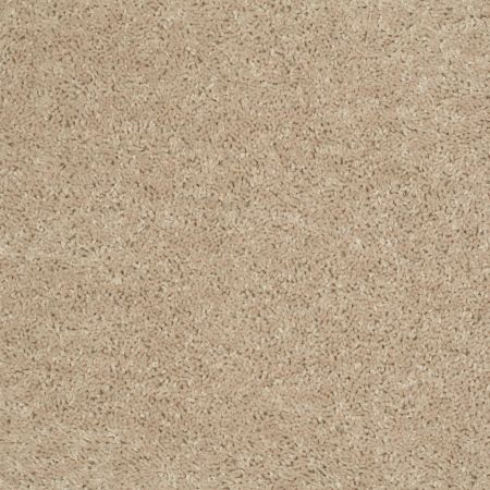 Shaw Floors Value Collections Mayville 15' Net Adobe