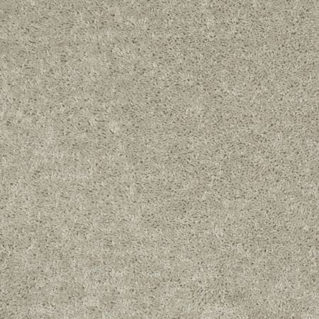 Shaw Floors Value Collections Mayville 15' Net Misty Taupe