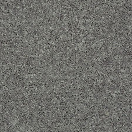 Shaw Floors Value Collections Mayville 15' Net Ink Spot