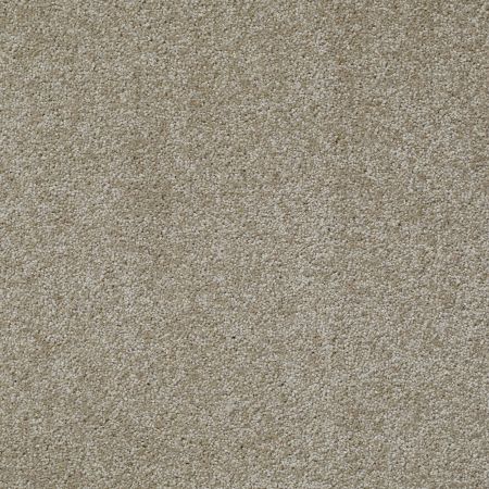 Shaw Floors Value Collections Something Sweet Net Khaki Tan