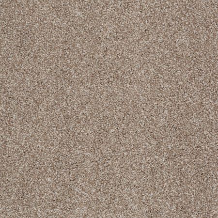 Shaw Floors Value Collections That's Right Net Sombrero