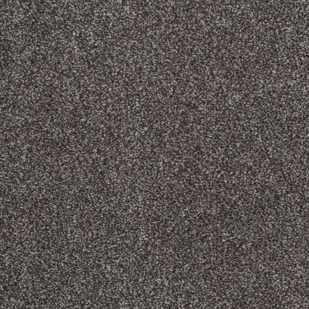 Shaw Floors Value Collections That's Right Net Rich Earth