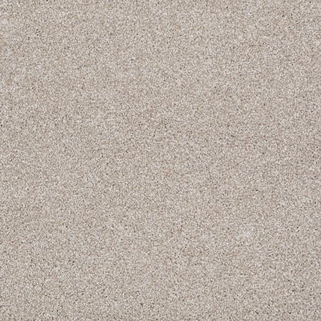 Shaw Floors Value Collections What's Up Net Doeskin