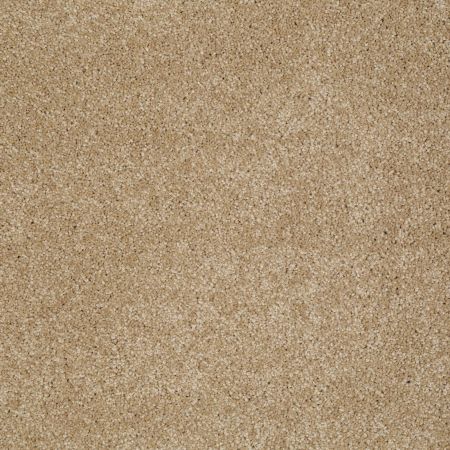 Shaw Floors Value Collections You Know It Net Oakwood