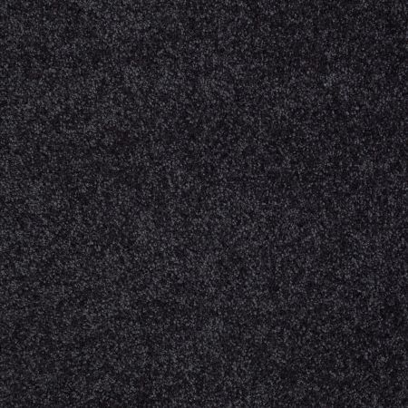 Shaw Floors Value Collections You Know It Net Stunning Navy