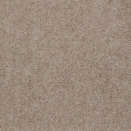 Shaw Floors Value Collections This Is It Net Ladys Choice