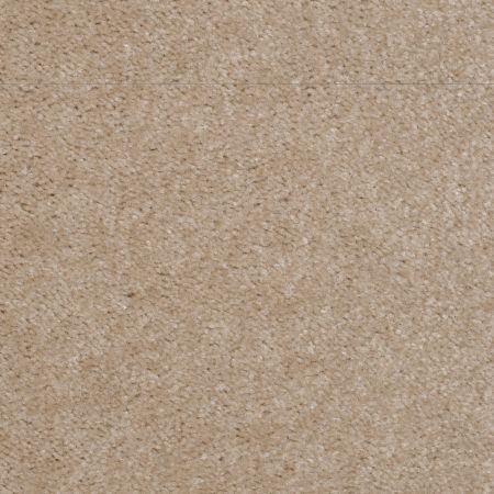 Shaw Floors Value Collections This Is It Net Basketry