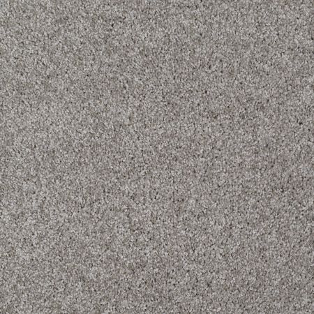 Shaw Floors Adam's Choice (s) Pewter Solid