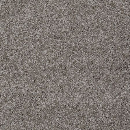 Shaw Floors Adam's Choice (s) Stone