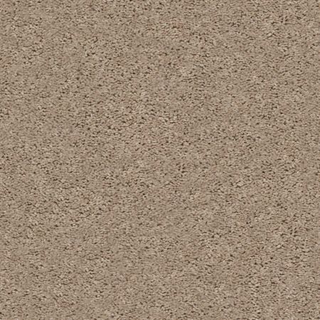 Shaw Floors Value Collections Xv442 Net Tumbleweed