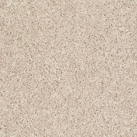 Shaw Floors Value Collections Xv442 Net Frosted Glass