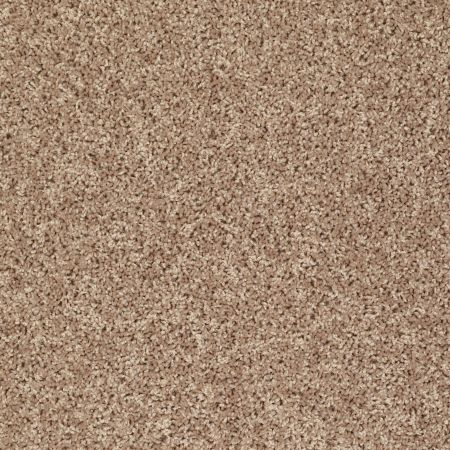 Shaw Floors Value Collections Xv442 Net Northern Plains