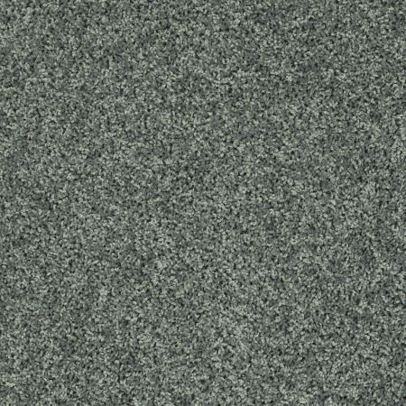 Shaw Floors Value Collections Xv442 Net Lagoon