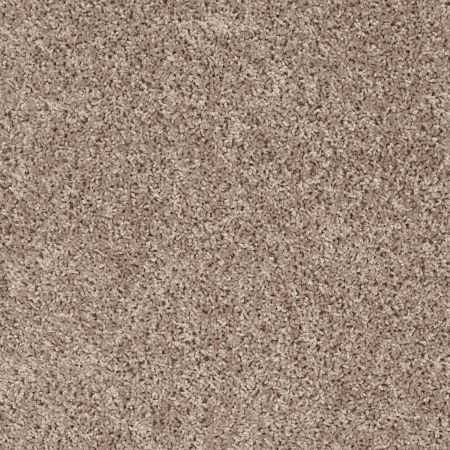 Shaw Floors Value Collections Xv442 Net Ancient Stone