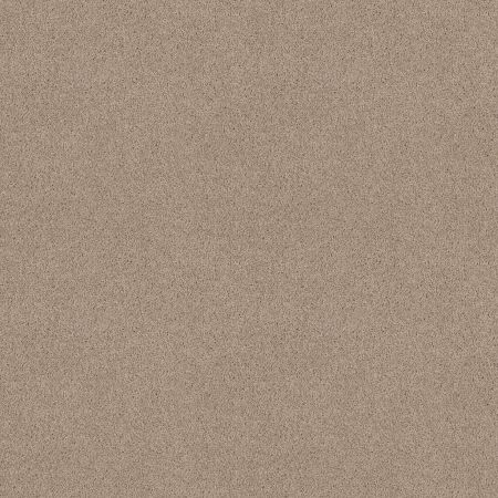 Shaw Floors Value Collections Dyersburg  Net Dove