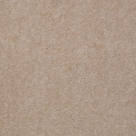 Shaw Floors Value Collections Hawkeye II Net Stucco Buff