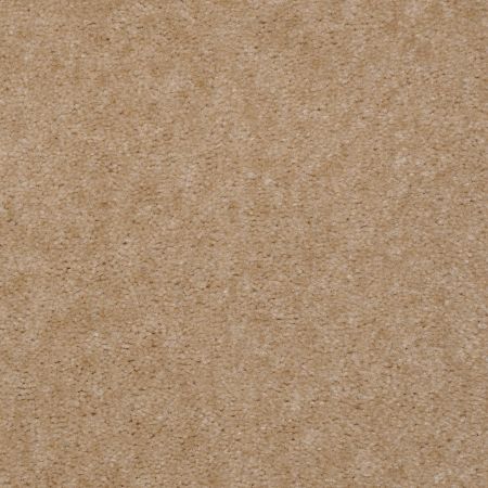 Shaw Floors Value Collections Hawkeye II Net Fawn's Leap