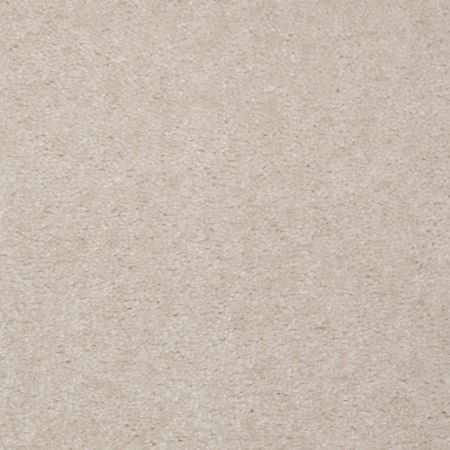 Shaw Floors Value Collections Hawkeye II Net Pebble Ridge